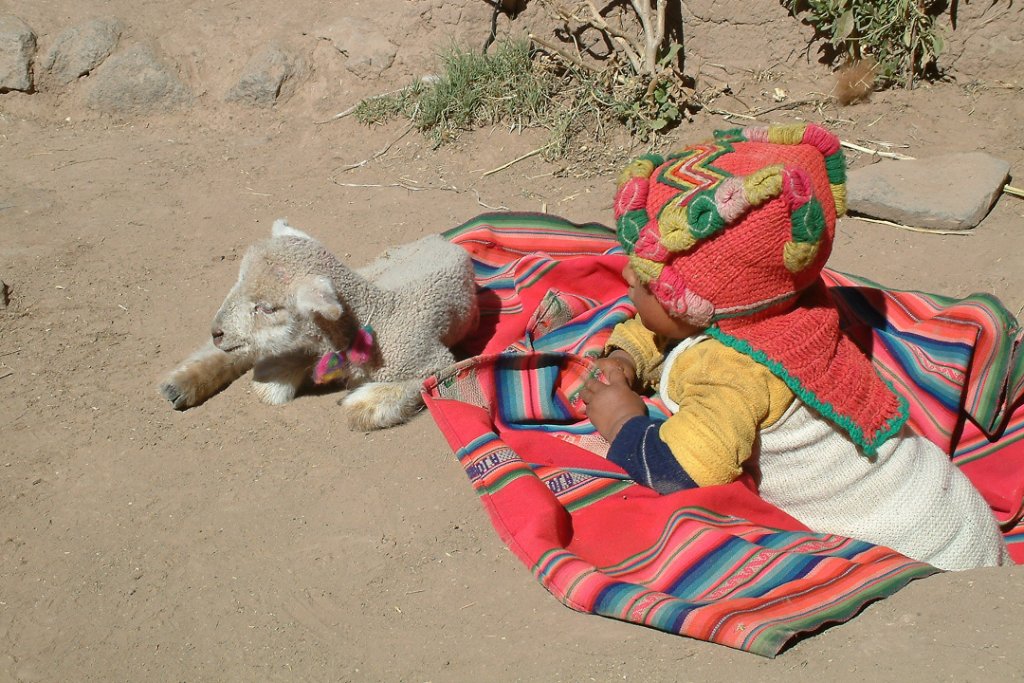 05-Peruvian playpen.jpg - Peruvian playpen